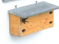 Bild 43;  11.07.02