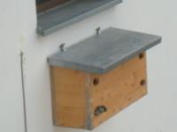 Stolz wie Oskar nach der erfolgreichen Familiengründung.