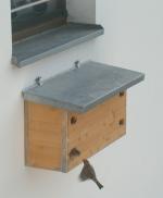 Spatzenf&uuml;tterung