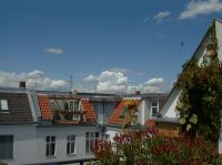 Der Innenhof scheint besonders attraktiv für Mauersegler zu sein.