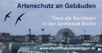 Artenvielfalt in der Großstadt Berlin (Nahaufnahmen von Insekten, Hummeln, Bienen, Wespen, Käfern und seltenen Arten  ...) Tiere als Nachbarn