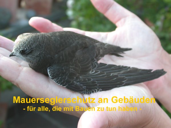 Hallo! Uns gehts eigentlich ganz gut. 