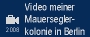 Start des videos mit RealPlayer