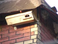 Jungsegler vor dem Ausfliegen, August 2007, Foto Wiegand